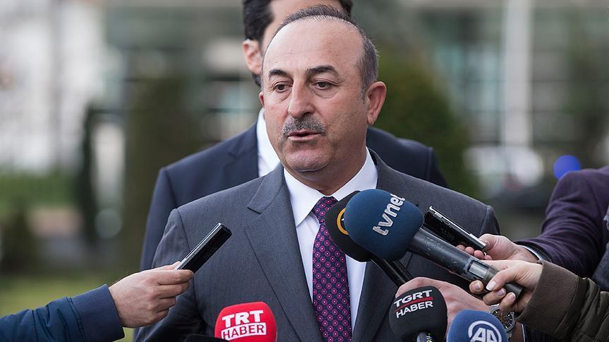 Turkish FM to discuss Muslum extradition with Germany