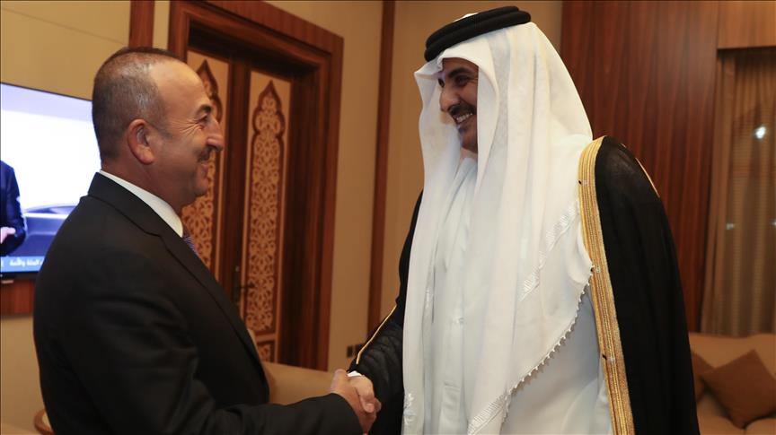 Turkish FM urges peace, dialogue in Gulf crises