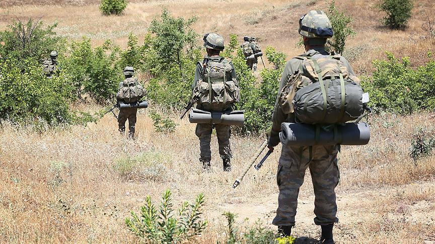 Turkish forces neutralize 43 PKK terrorists in 7 days