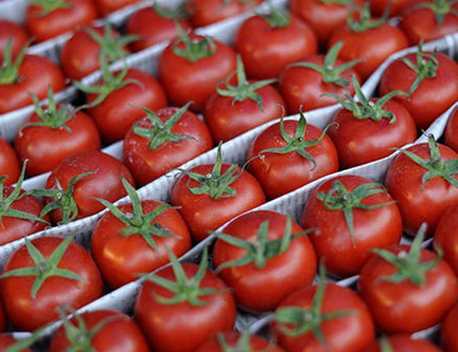 Turkish minister expects Russia to lift ban on tomatoes in 1-2 days