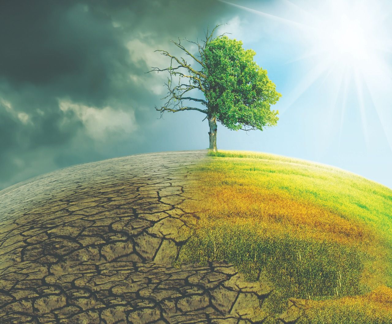 Turkish parliament expected to pass climate law fraught with dangers