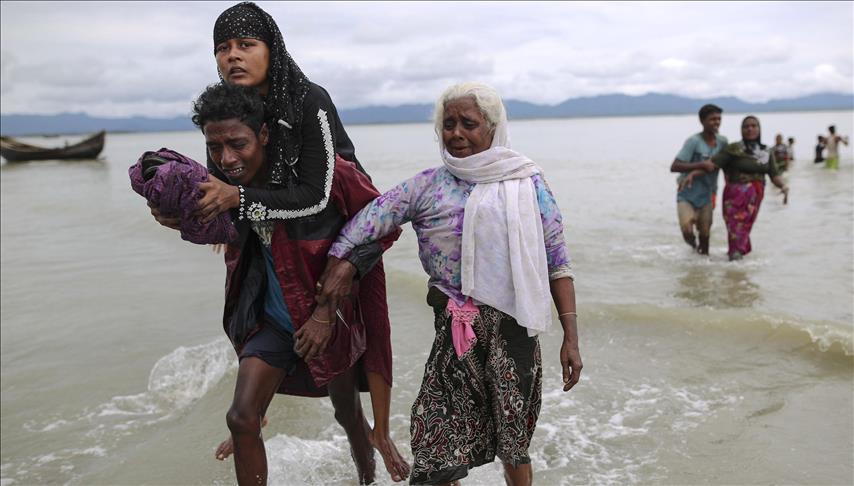 UN: Over 310,000 Rohingya have fled to Bangladesh
