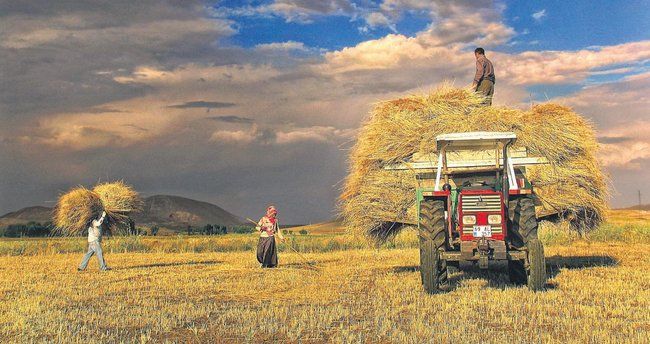 While the exchange rate increases crush the farmers, it revives the General Manager