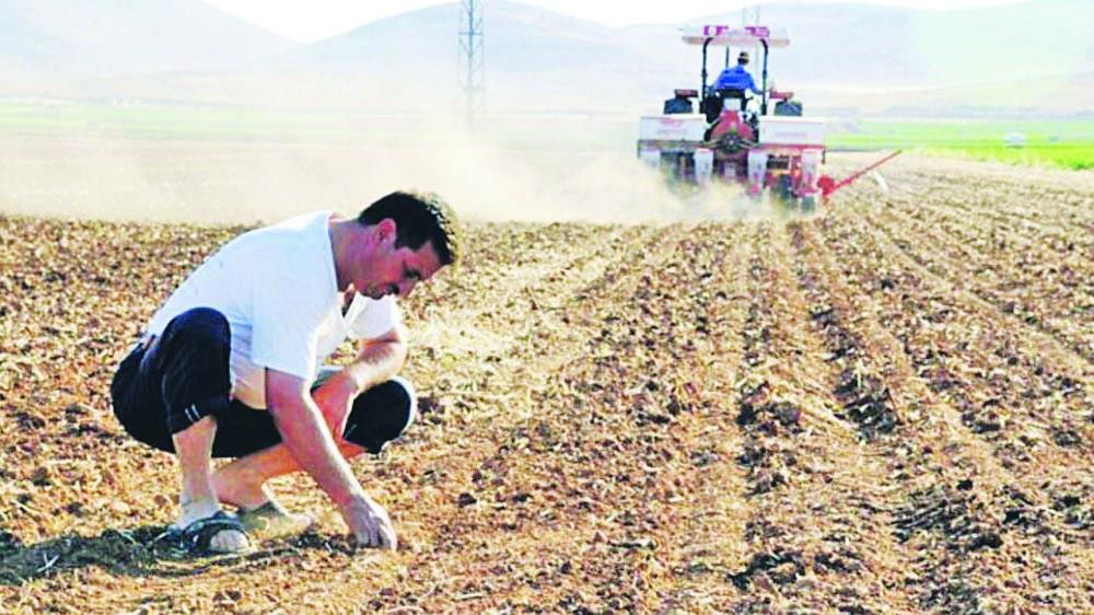 While the farmer loses money, someone will earn more: Head of Turkish Chamber of Agricultural Engineers
